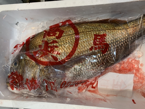 15日 天然活タイ