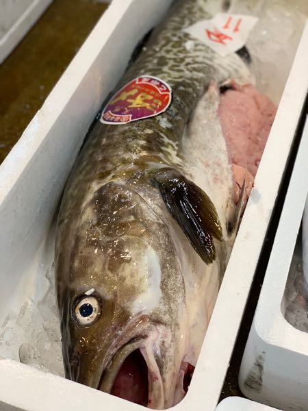 30日 タラ・タラ白子